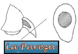 Corte de U&ntilde;aS