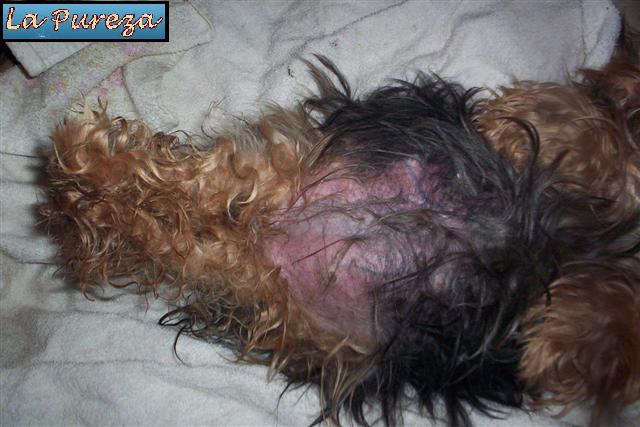 Las contracciones se hacen m&aacute;s frecuentes